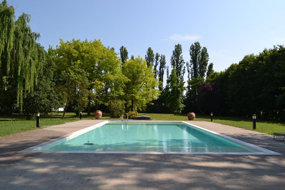 Garden, Garden, Garden view, Garden view, Swimming pool