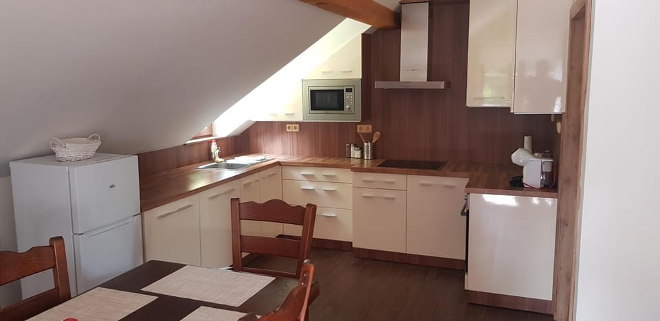 Apartmán Jizerka Apartment in Czechia