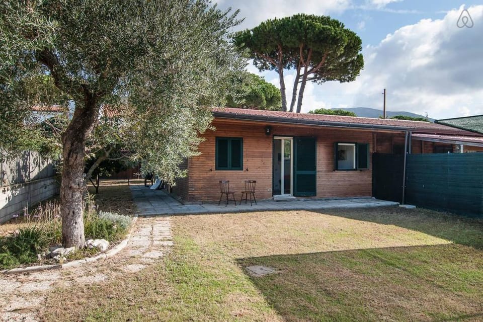 Property building, Summer, Garden