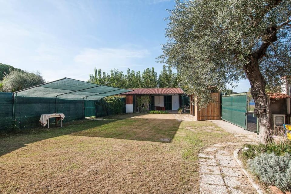 Property building, Summer