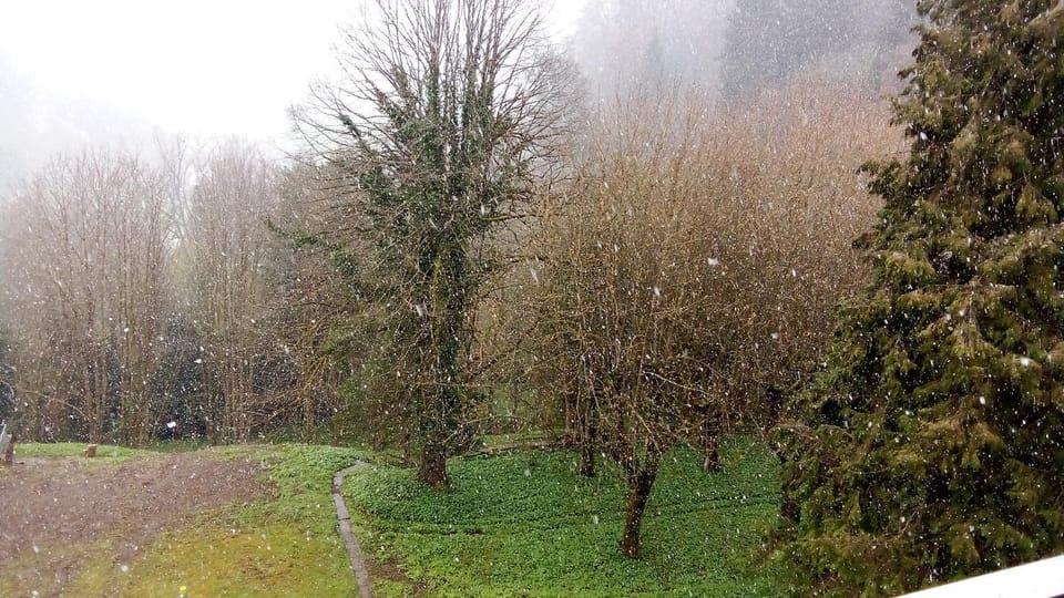 Geschäfts oder Ferienwohnung 53m2 gross in zwischen Olten und Aarau möbliert Internet Küche mit schöner Aussicht Parkplatz gratis Mit Hund moeglich Apartment in Aargau, Switzerland