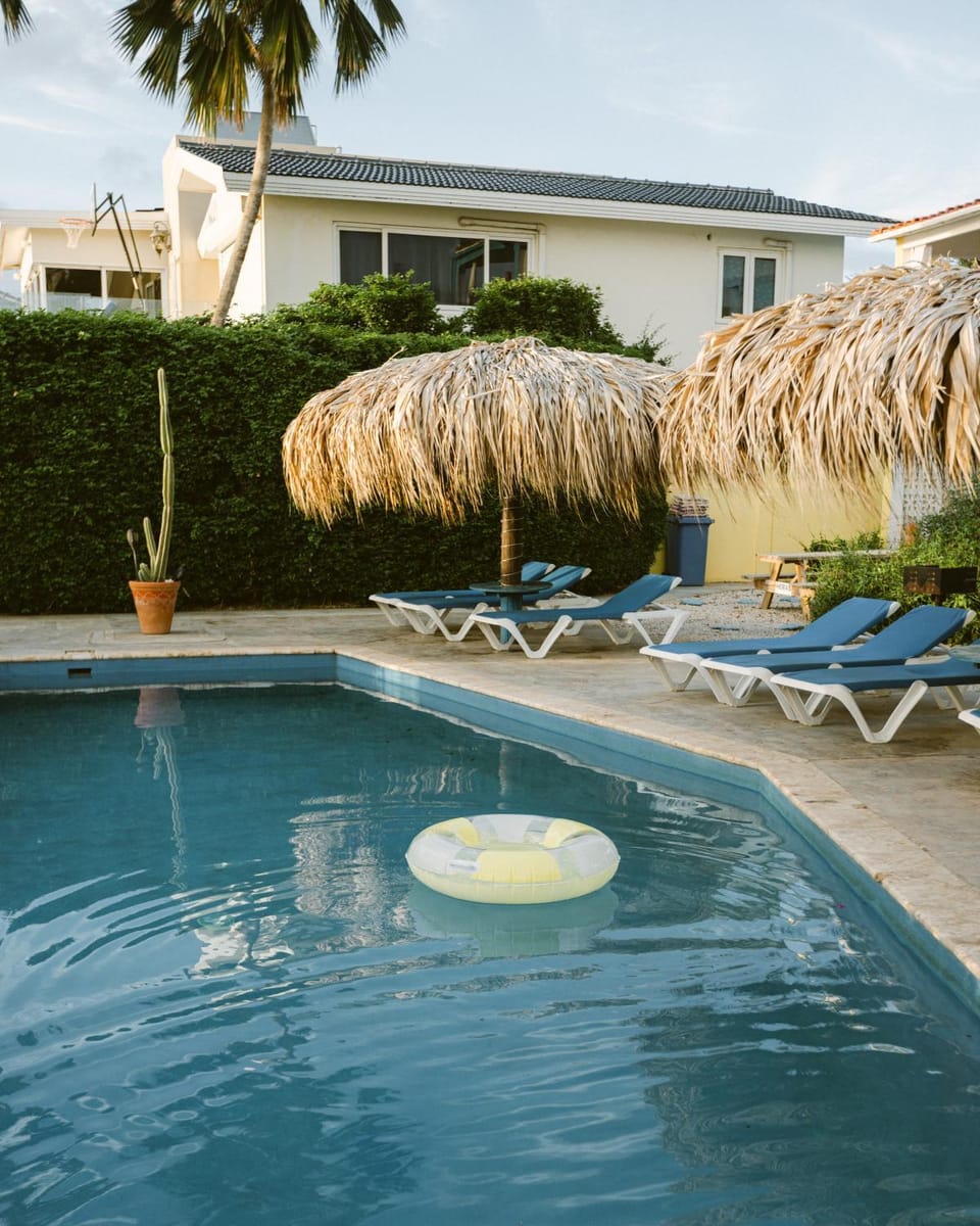 Garden, Swimming pool, Swimming pool, sunbed