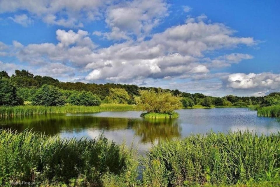 Off site, Location