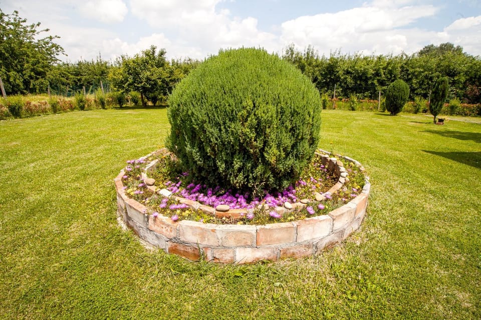 Day, Garden