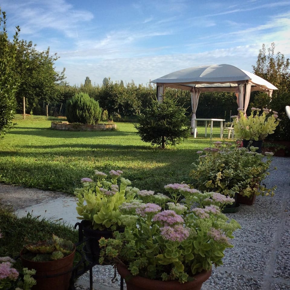 Day, Garden