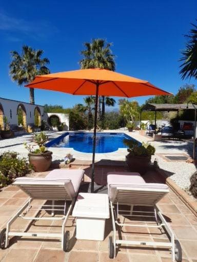 Pool view, sunbed