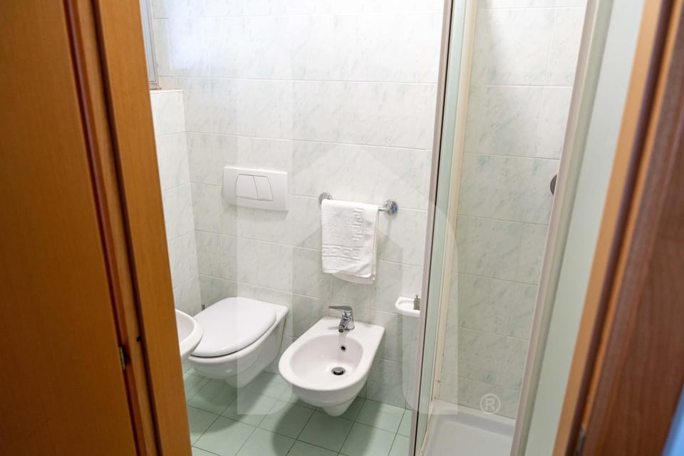 Shower, Toilet, bidet, towels