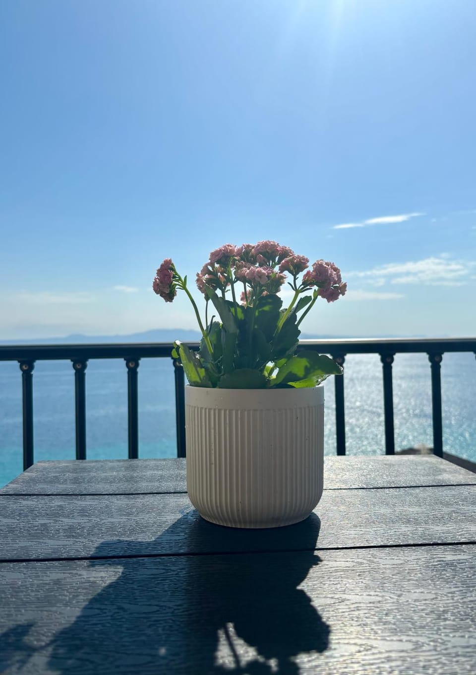 Aegean Blue Horizon Apartment hotel in Halkidiki