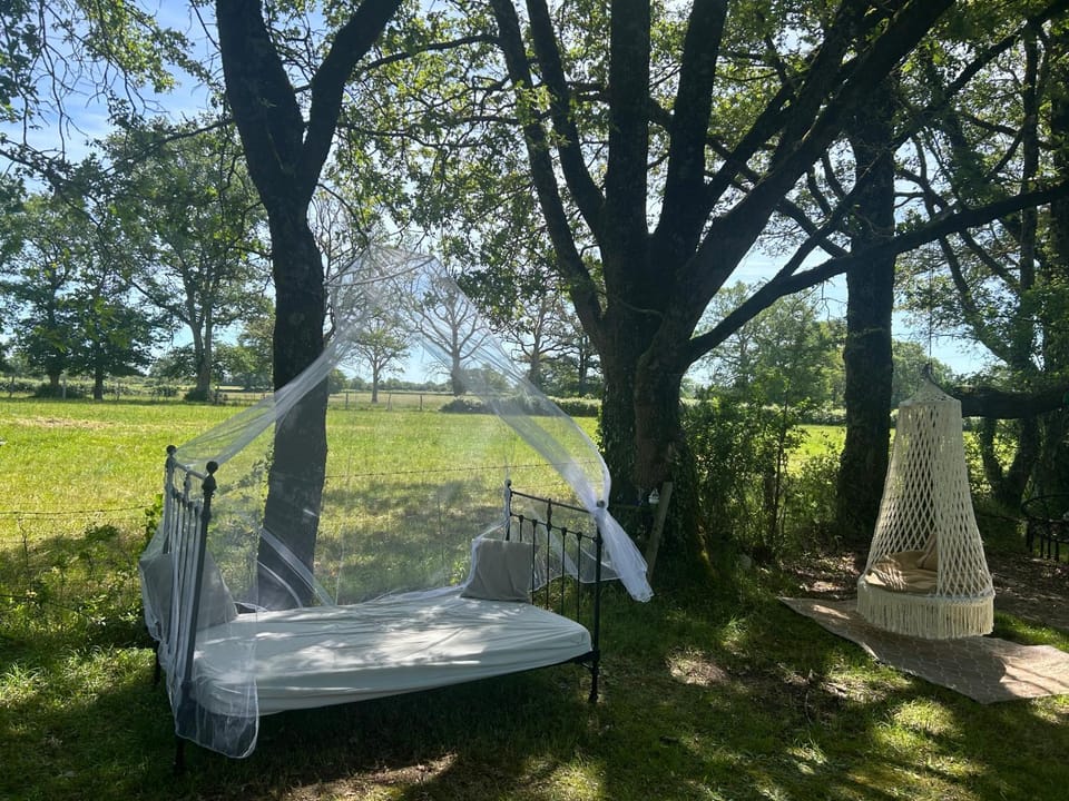 Les Lodges de Phanou Bed and Breakfast in Centre-Val de Loire