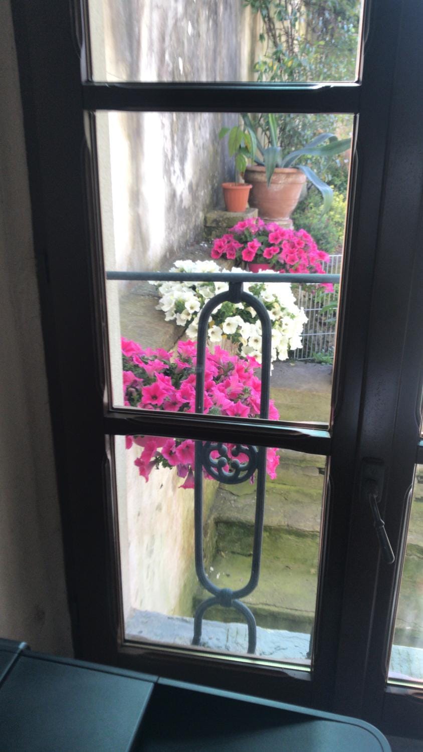 View (from property/room)