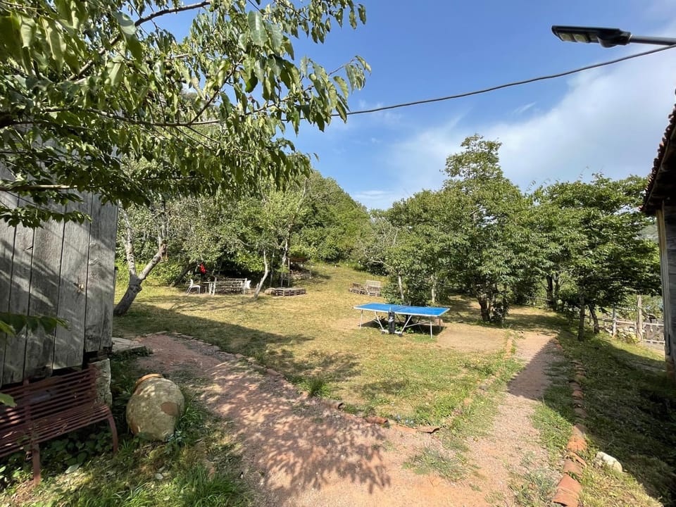 Garden, Table tennis