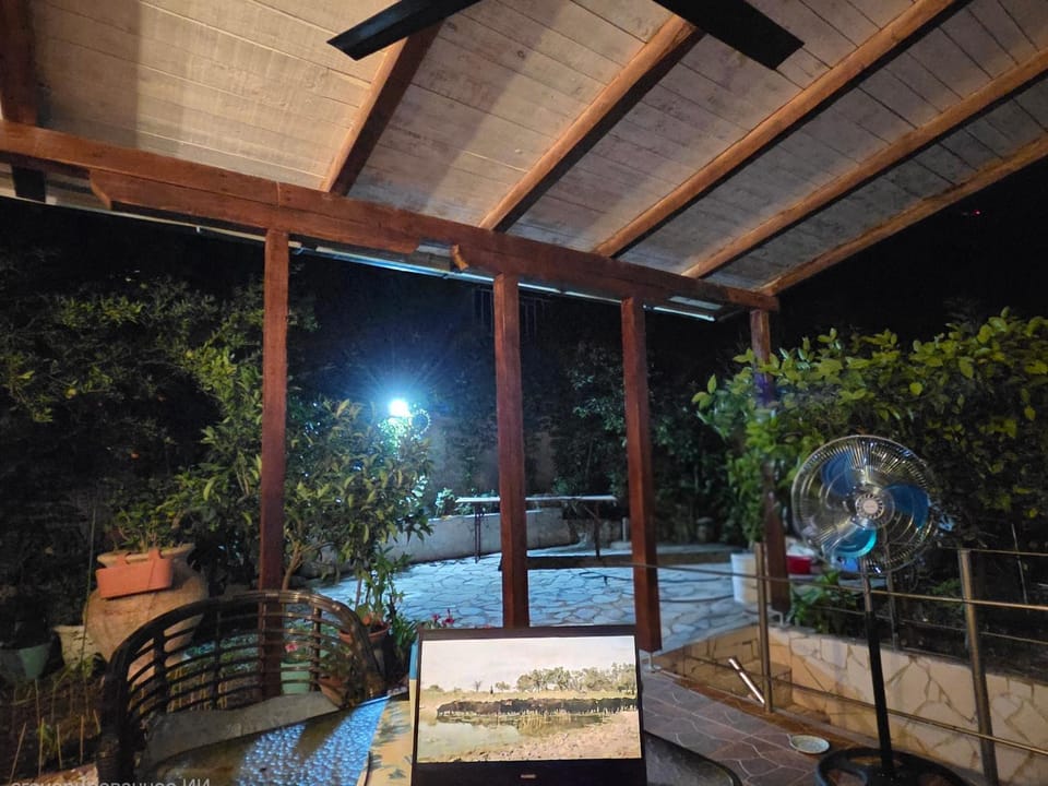 Patio, Night, Garden view