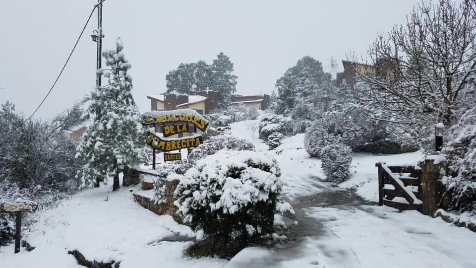 Natural landscape, Winter, Lobby or reception