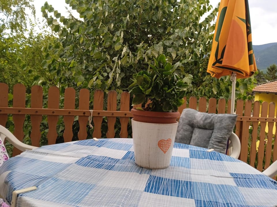 Smestaj Gmitrovic Apartment in Serbia