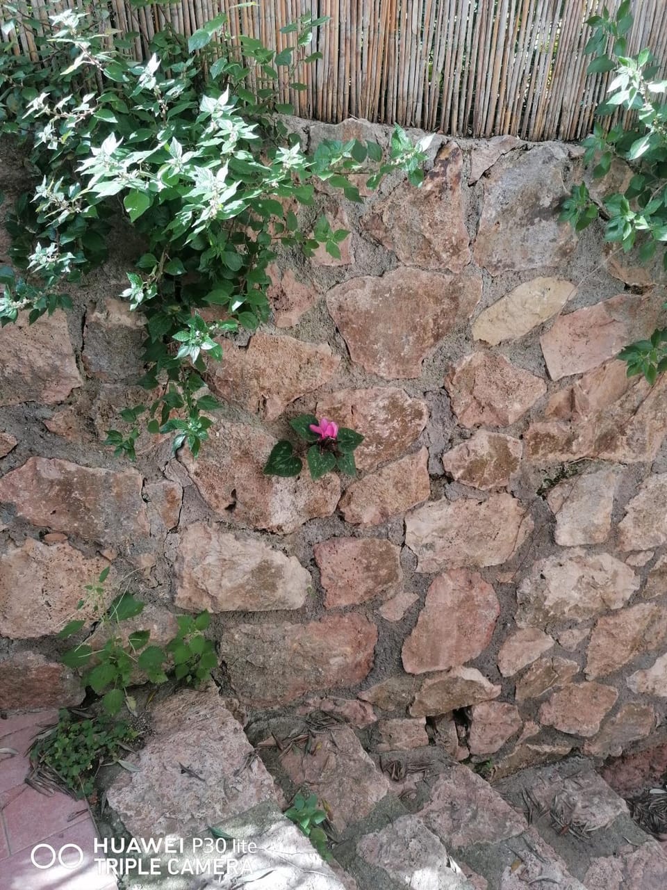 Panoramica Flat Apartment in Porto Santo Stefano