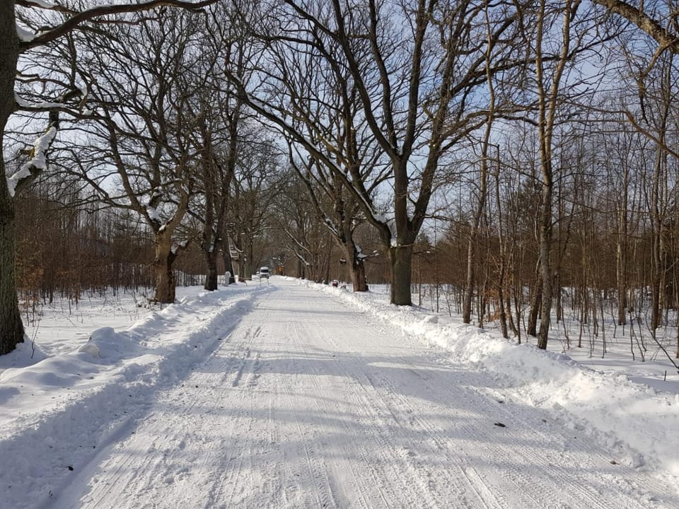 Natural landscape, Winter
