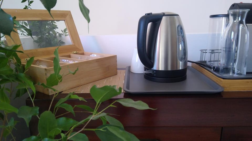 Lovely Cat's B&B Apartment in Basque Country