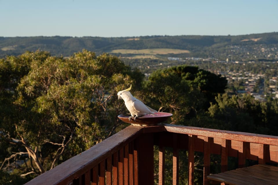 Kinoie Mornington - OCEANVIEW Villa in Melbourne