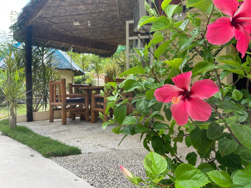 Patio, Garden