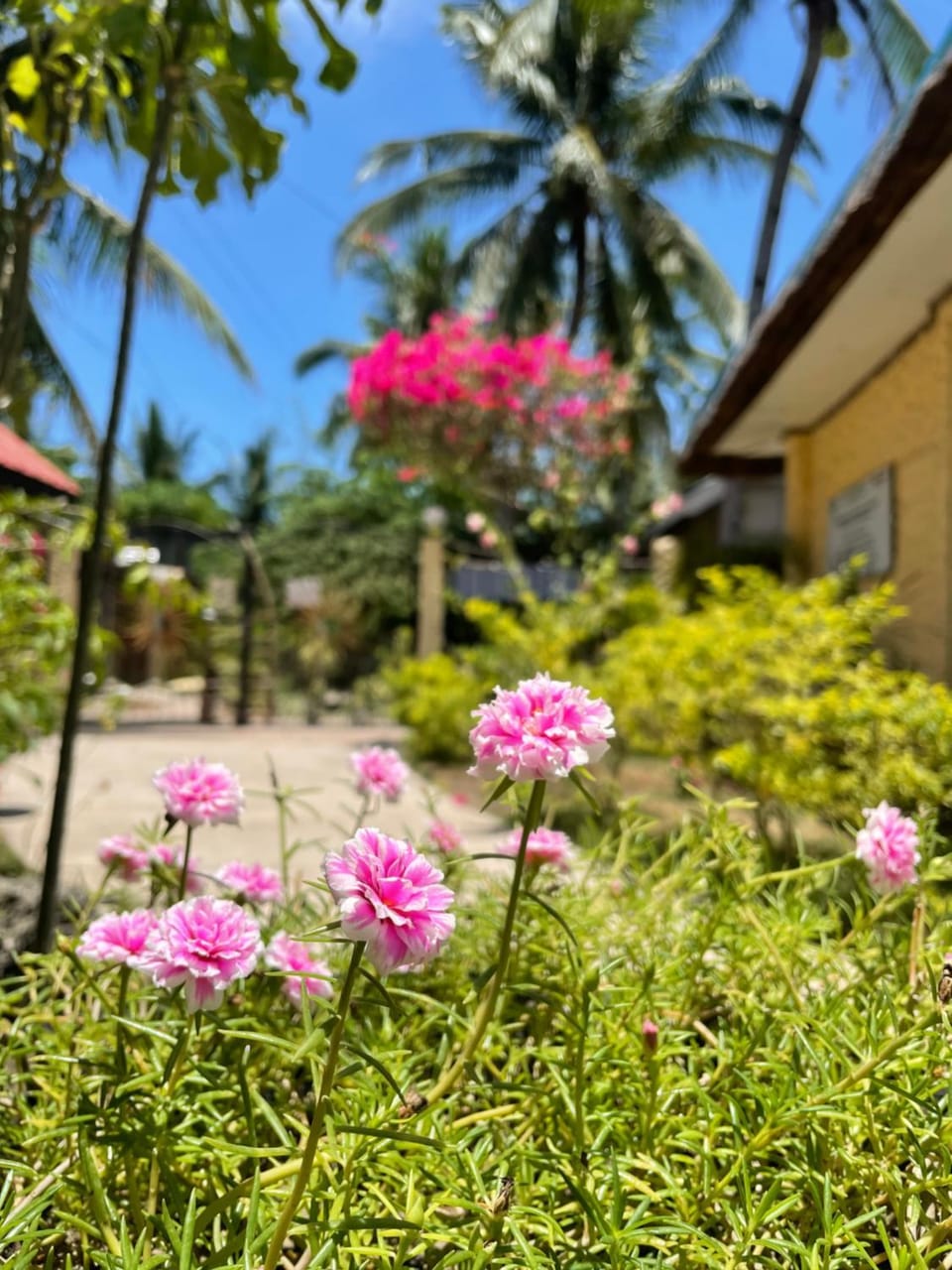 Garden, Garden view