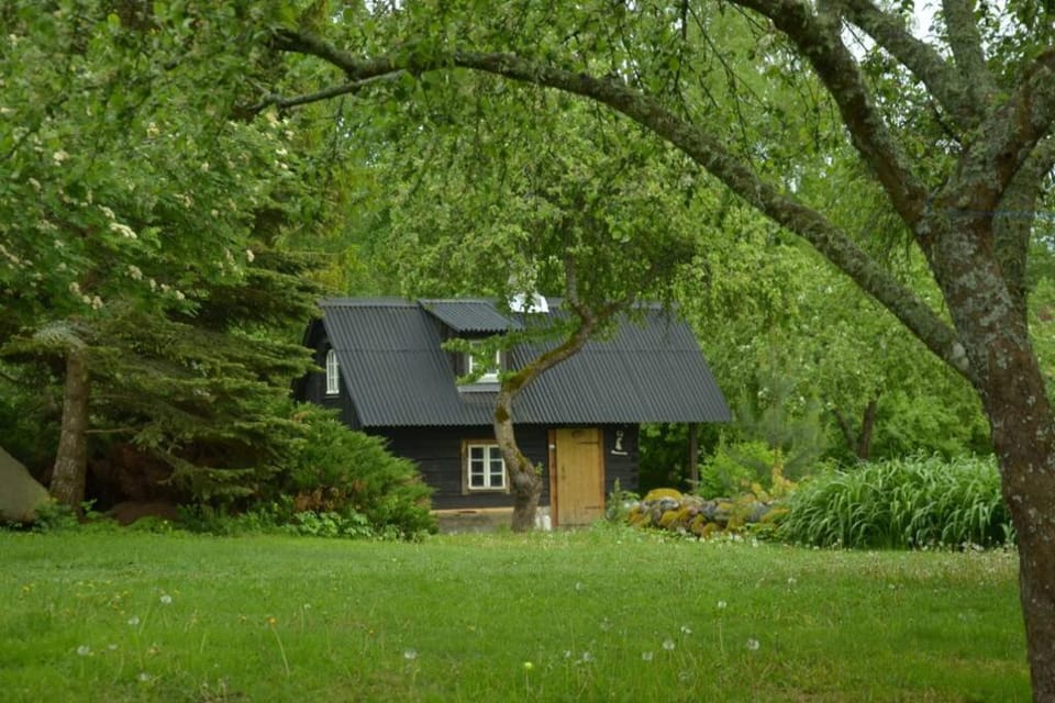 Puise saunahouse and outdoor kitchen at Matsalu Nature Park House in Estonia