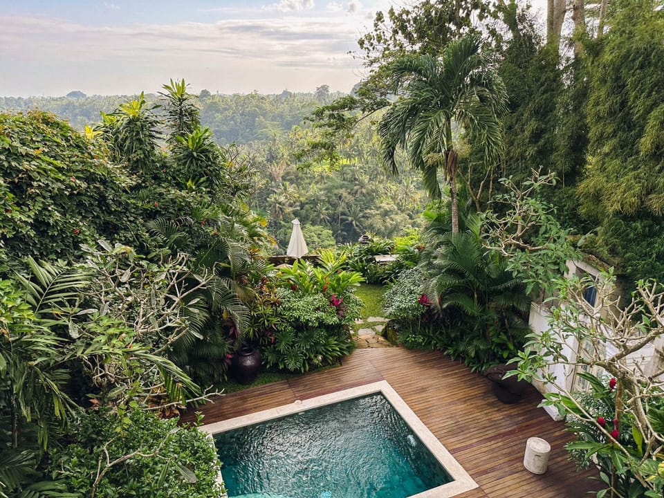 Garden, Swimming pool