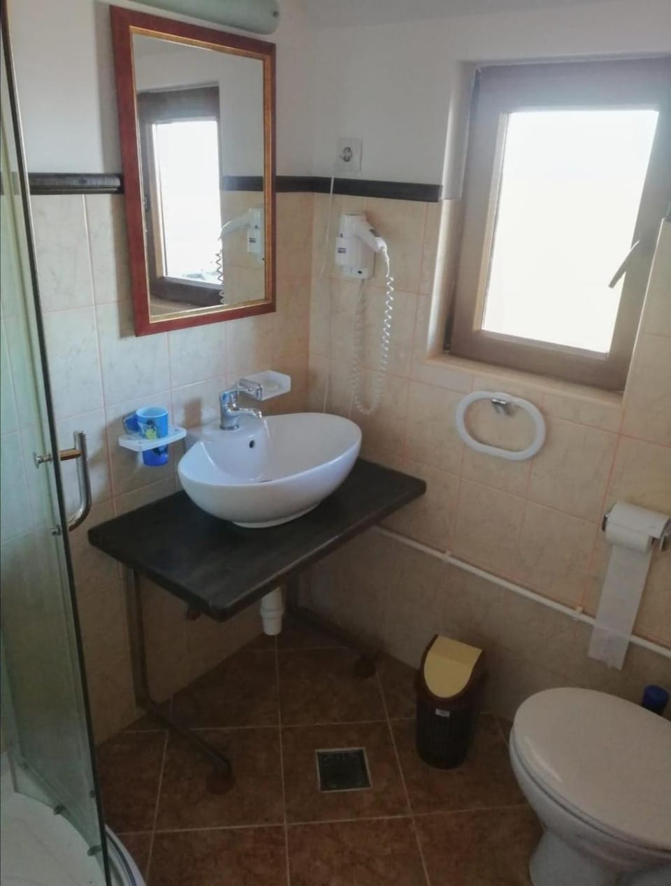 Pensiunea La Felinare Mahmudia Bed and Breakfast in Romania