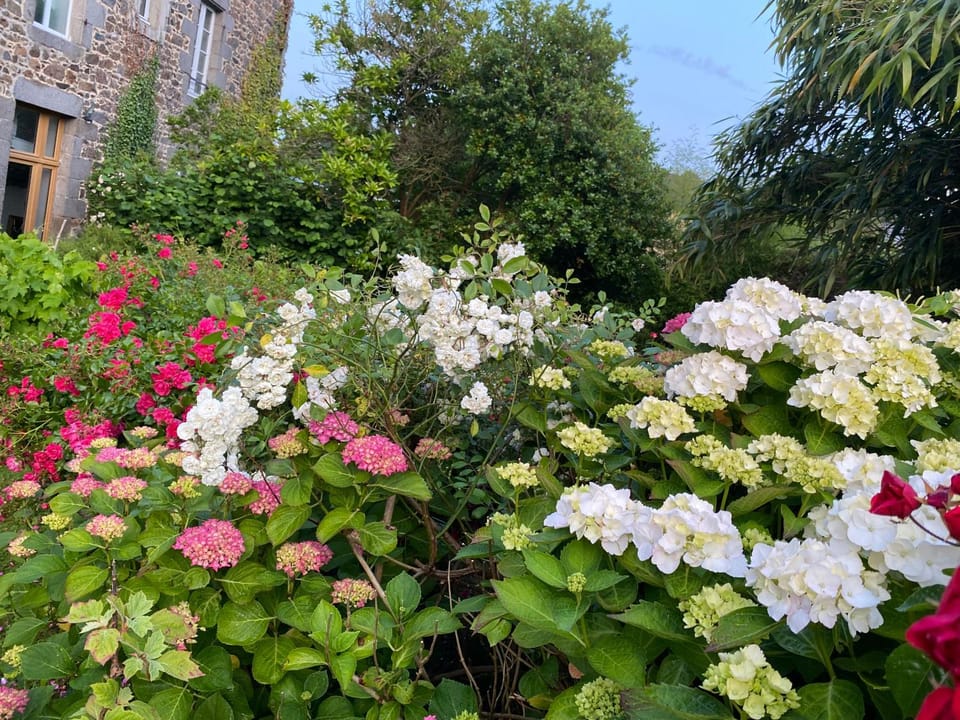Chambres d hôtes du Moulin à papier Bed and Breakfast in Plérin