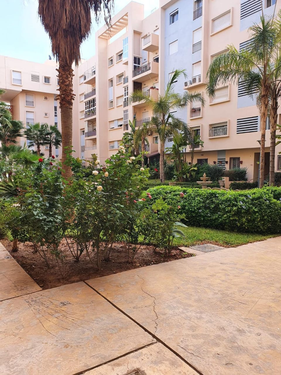 Appart Plein Centre OUJDA Apartment in Morocco