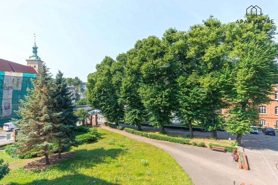 Day, Neighbourhood, Garden, Location