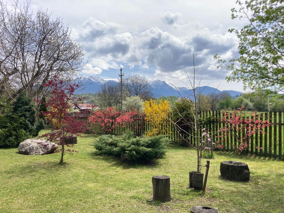 Pensiunea Aron 2 Bed and Breakfast in Bran