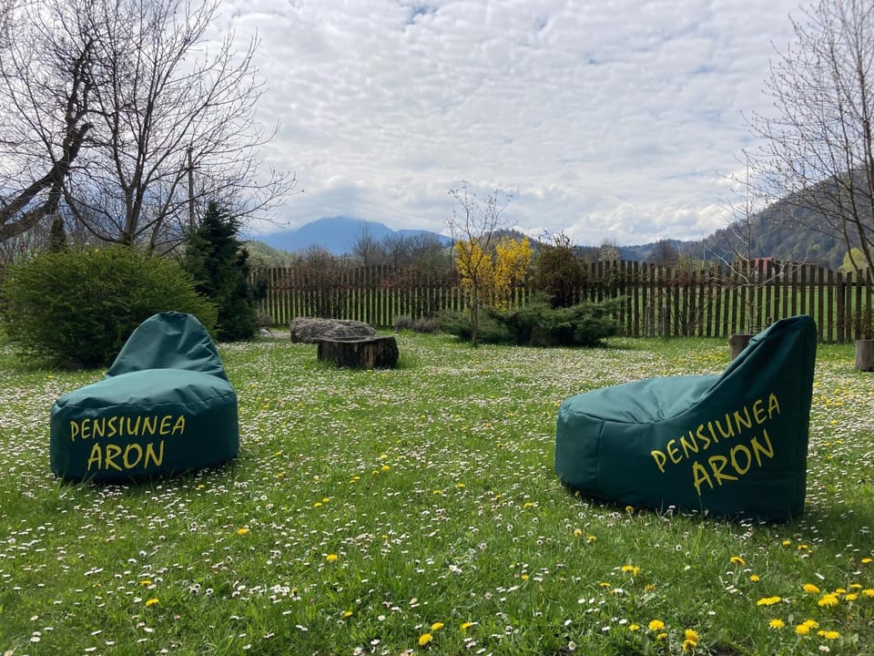 Pensiunea Aron 2 Bed and Breakfast in Bran