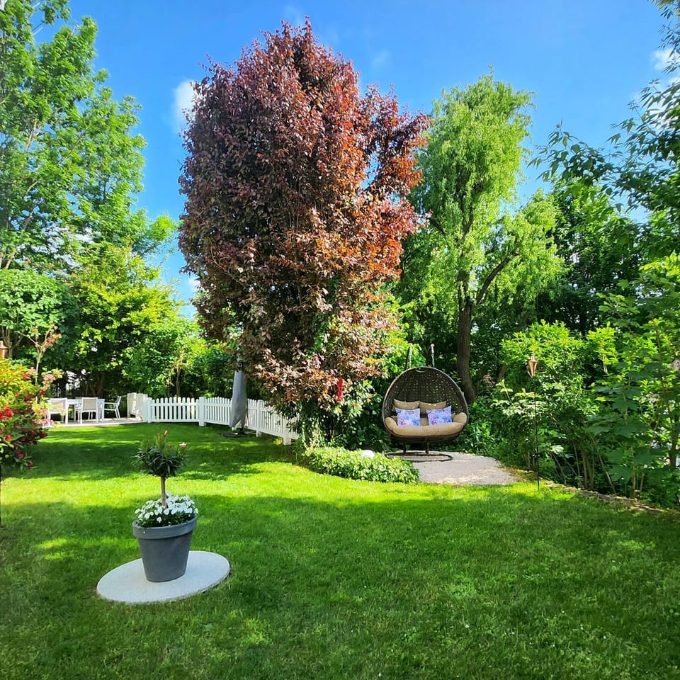 Natural landscape, Garden, Garden, Garden view