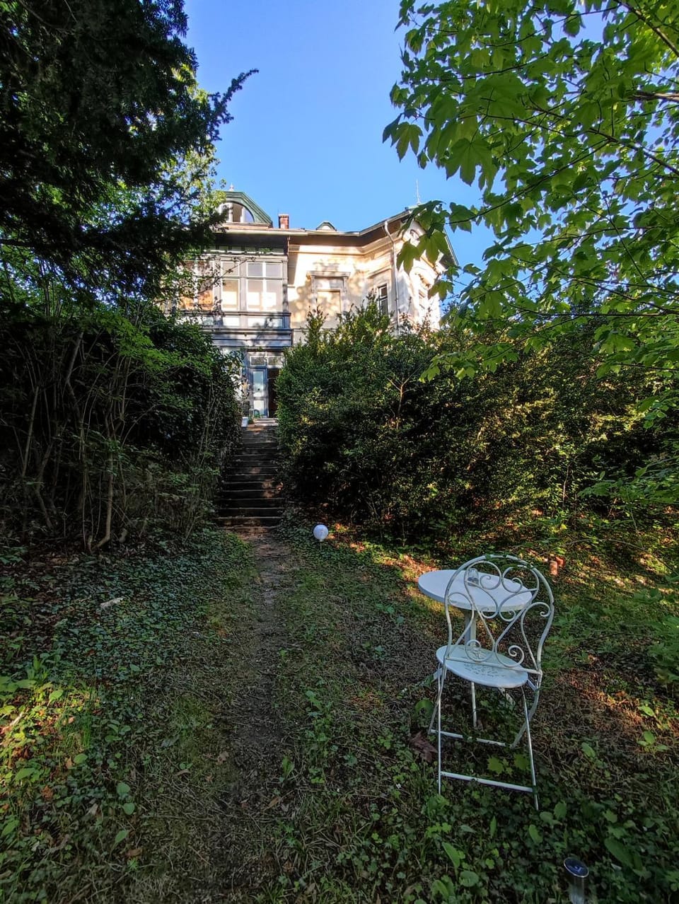 Garden