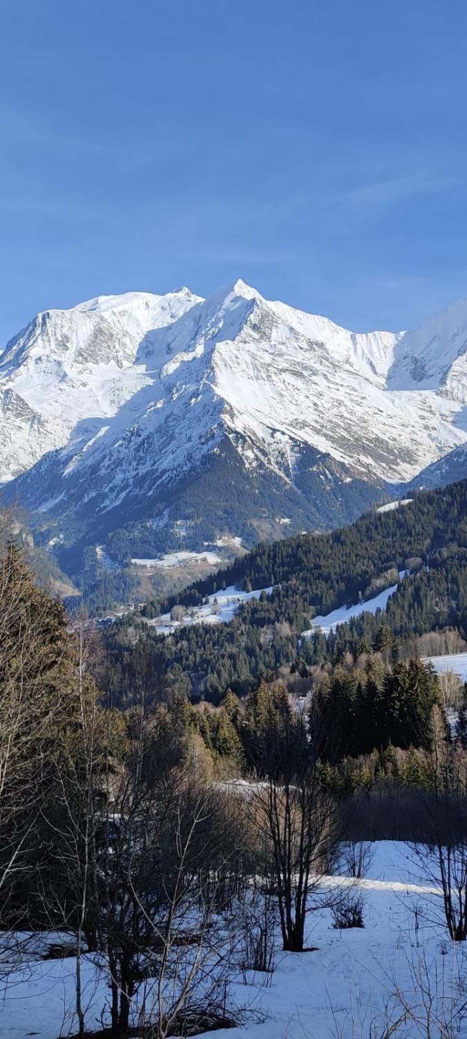 Natural landscape