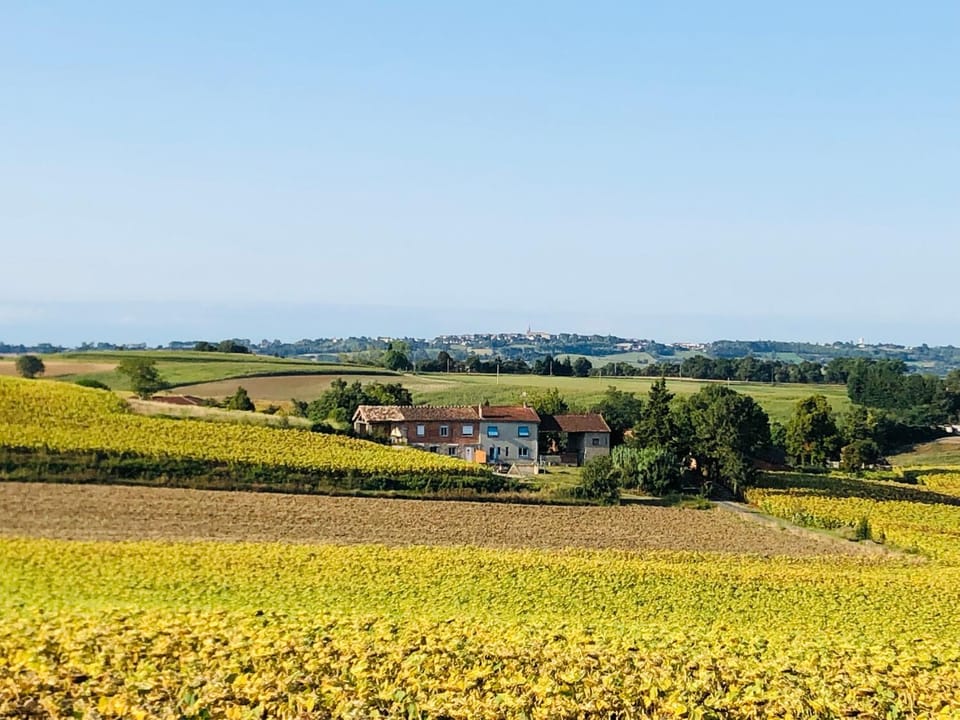 Neighbourhood, Natural landscape, Hiking, Mountain view