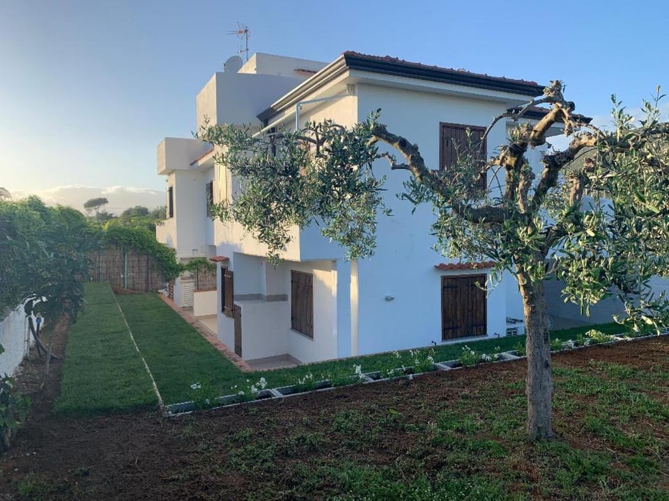 Property building, Garden