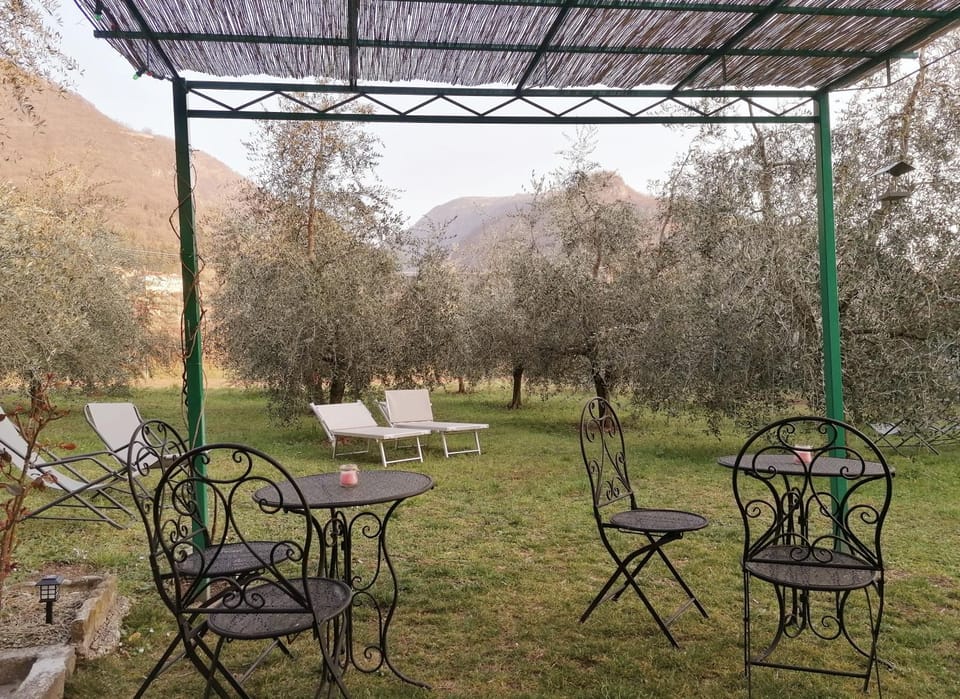 Patio, Mountain view
