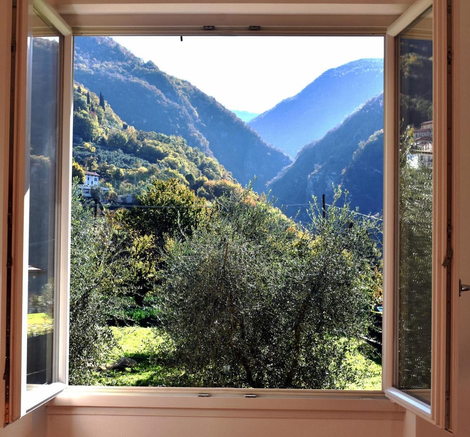 Natural landscape, Garden view, Mountain view