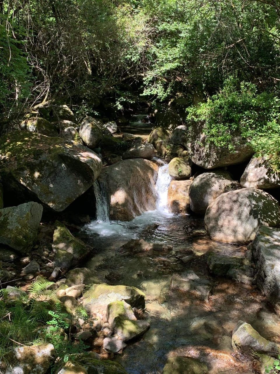 Natural landscape, Summer, Hiking