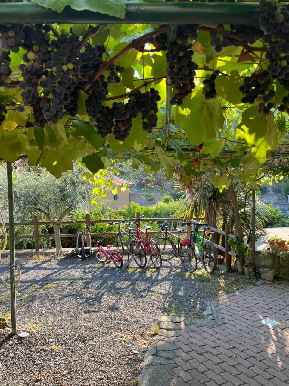 Patio, People, Garden