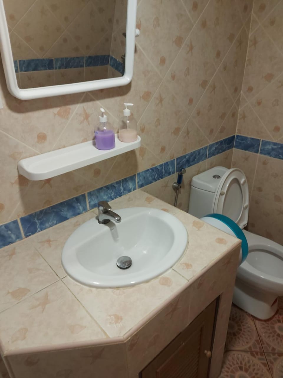 Toilet, Bathroom