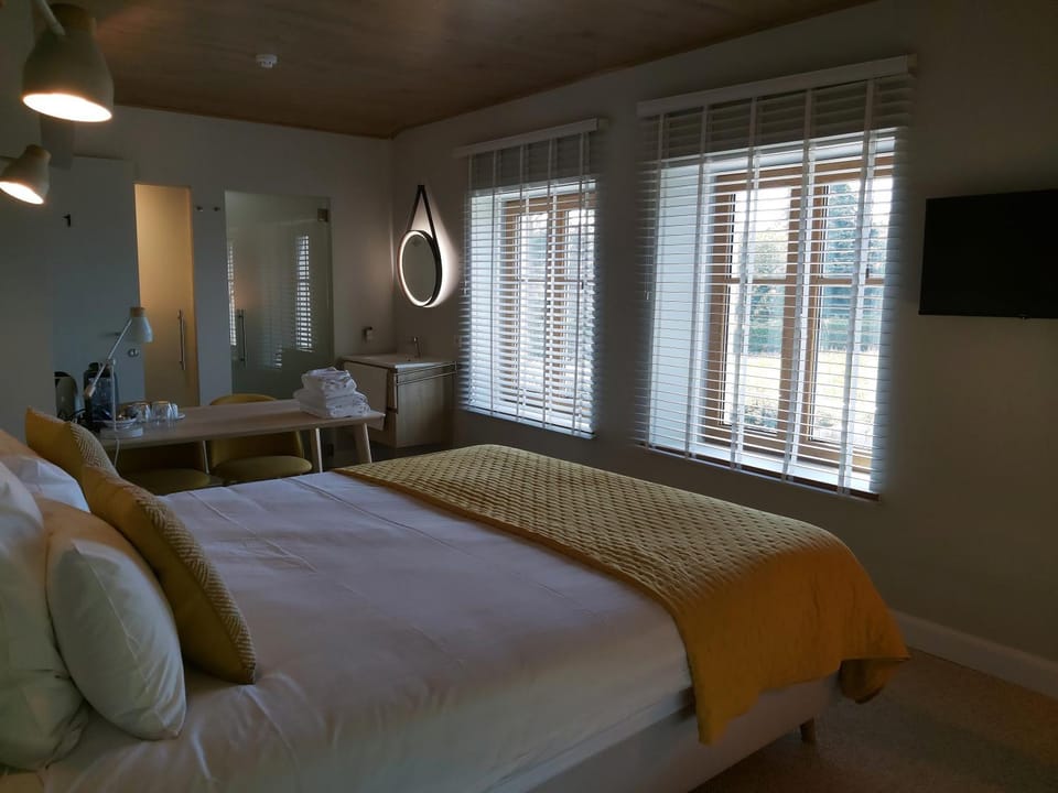 Toilet, Bed, Bathroom, TV and multimedia, Photo of the whole room, Bedroom