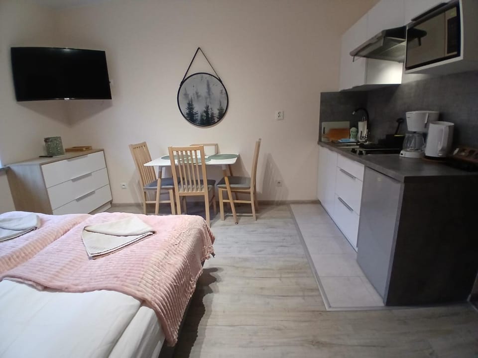Studio Sucha 309 Apartment in Lower Silesian Voivodeship