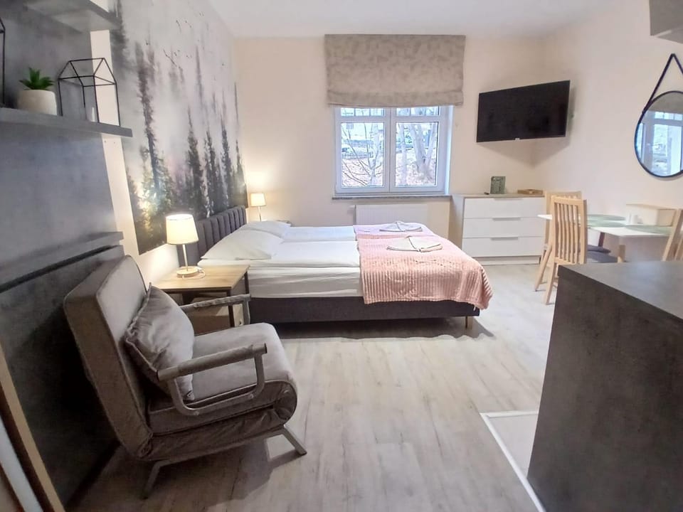 Studio Sucha 309 Apartment in Lower Silesian Voivodeship