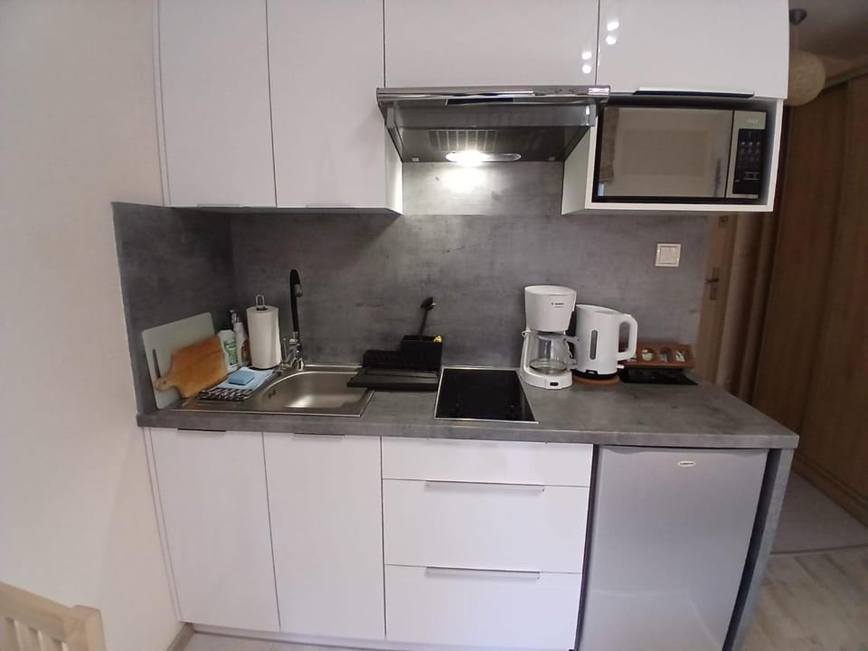 Studio Sucha 309 Apartment in Lower Silesian Voivodeship