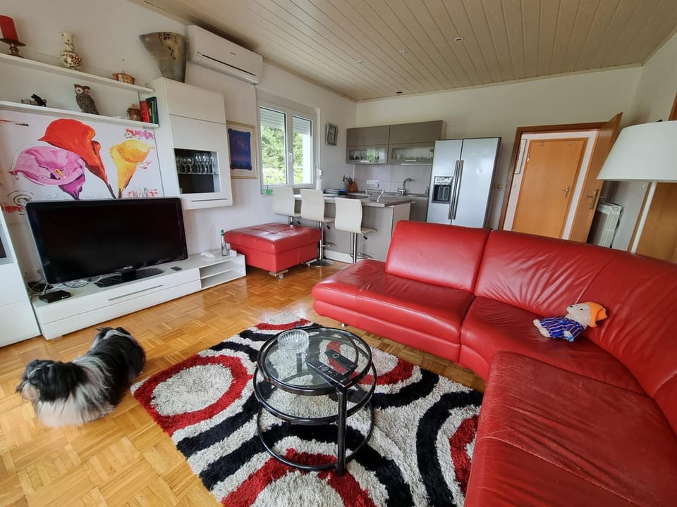 Kitchen or kitchenette, Living room, Lounge or bar, Seating area