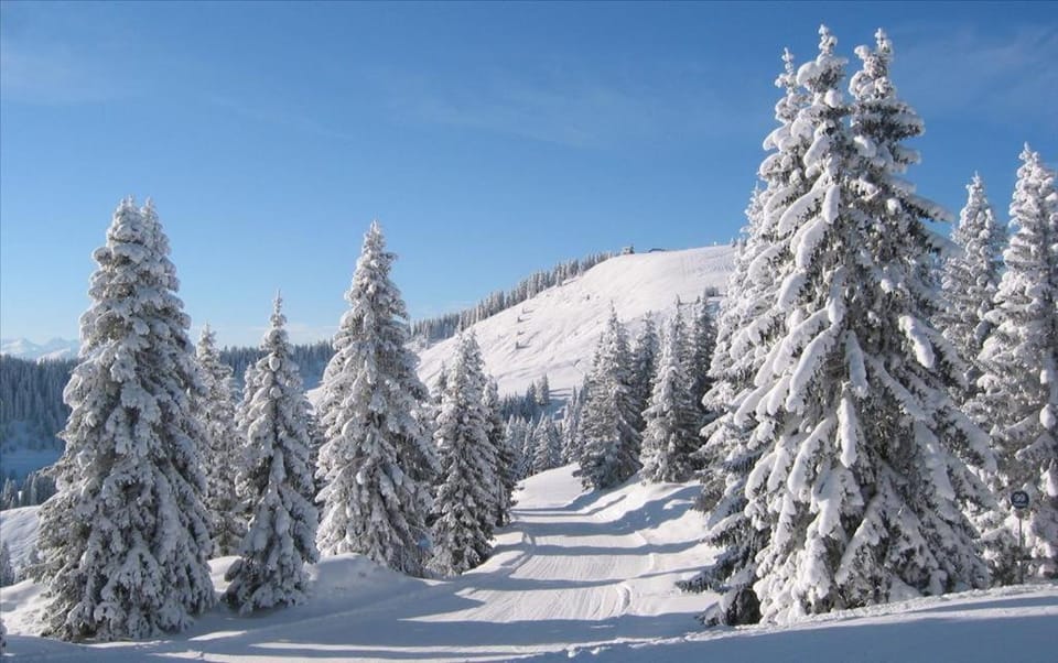 Day, Natural landscape, Winter