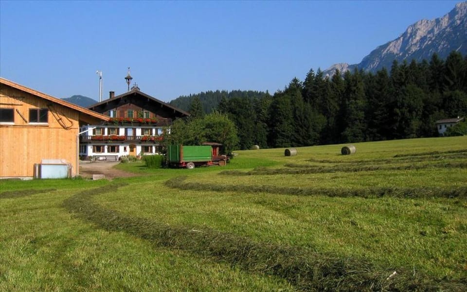 Property building, Day, Natural landscape