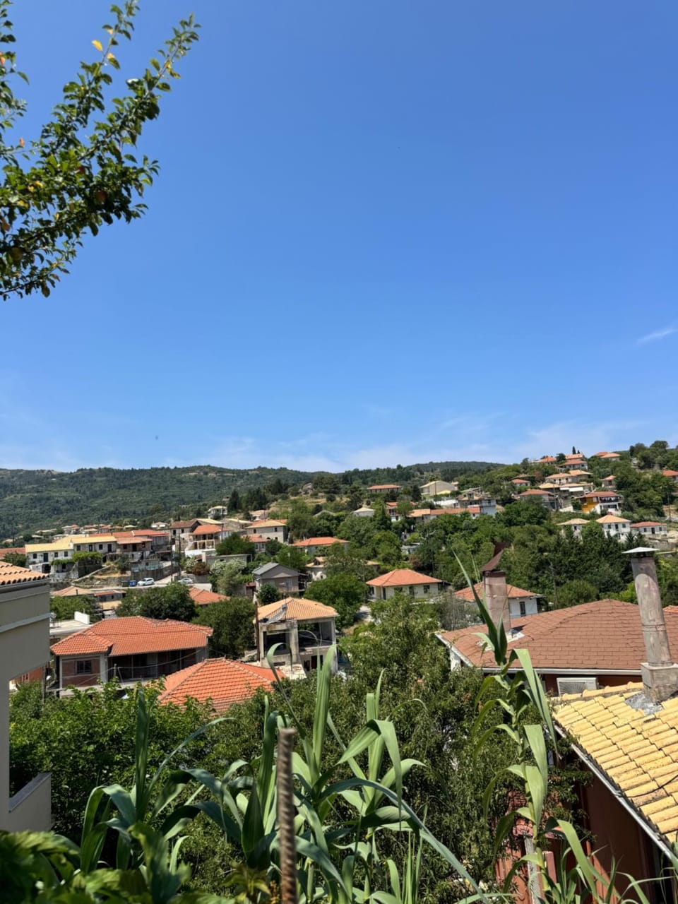 Basil & Guest House Bed and Breakfast in Lefkada, Lefkada Municipality, Greece